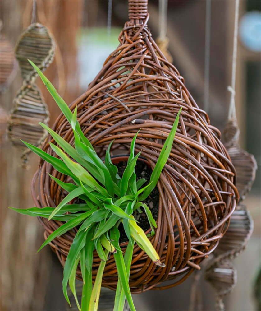 support de plante - Plume et Brin d'Osier