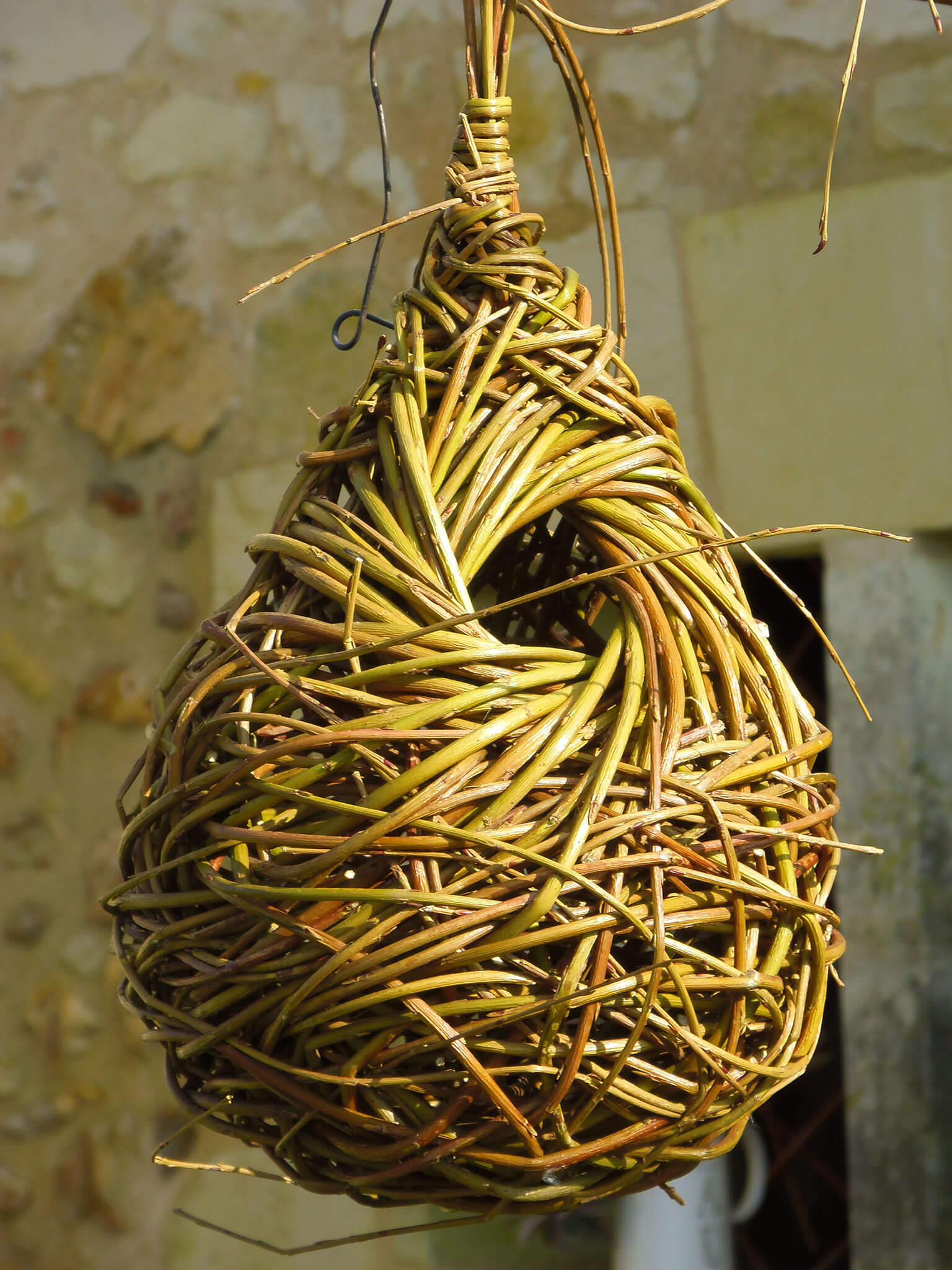 Nid Mésange Osier entrelacs - Plume et Brin d'Osier
